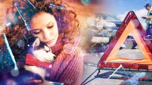 Собака скулила и рвалась к девушке. Погладив ее, девушка произнесла всего одно слово Истории любви