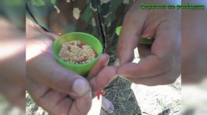 Как правильно насадить опарыша  Советы начинающим