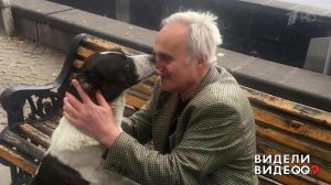 Пес нашелся! Видели видео? Фрагмент выпуска от 29.09.2019