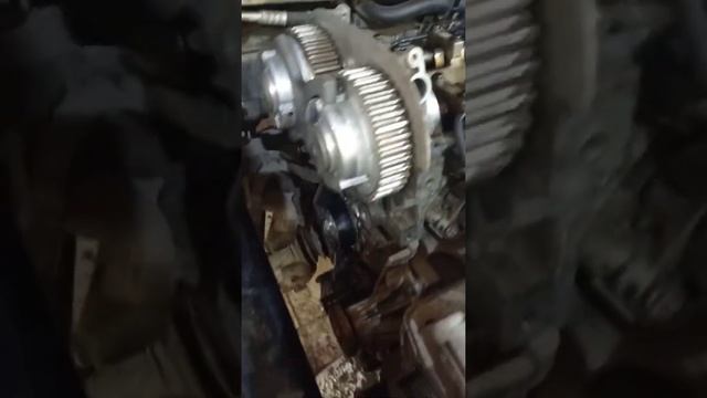 Замена к-т ремня ГРМ Форд Фокус2 1,6л 115л.с смотреть онлайн