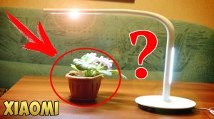 ? XIAOMI НЕ ПЕРЕСТАЕТ УДИВЛЯТЬ! АНАЛИЗАТОР ПОЧВЫ FLOWERS TESTER LIGHT MONITOR