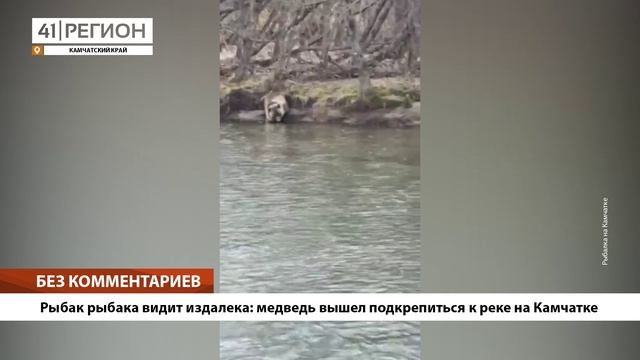 •БЕЗ КОММЕНТАРИЕВ: Рыбак рыбака видит издалека: медведь вышел подкрепиться к реке на Камчатке•