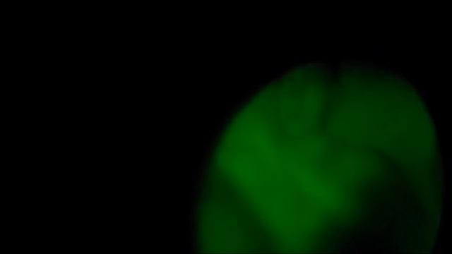 Уставная форма ВКПО в ПНВ светится или нет? ИК Ремиссия ПНВ-10Т смотреть онлайн