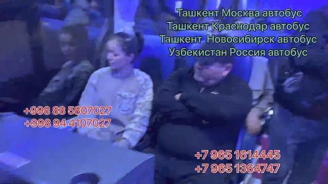 Ташкент Новосибирск автобус Новосибирск Ташкент автобус Ташкент Челябинск автобус Узбекистан Россия