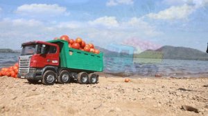 Спелые помидоры взрываются и горят