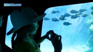 Экскурсия "Батискаф Sea Scope" из Шарм эль Шейха