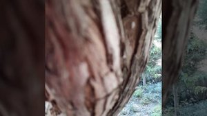 Отдых в Турции