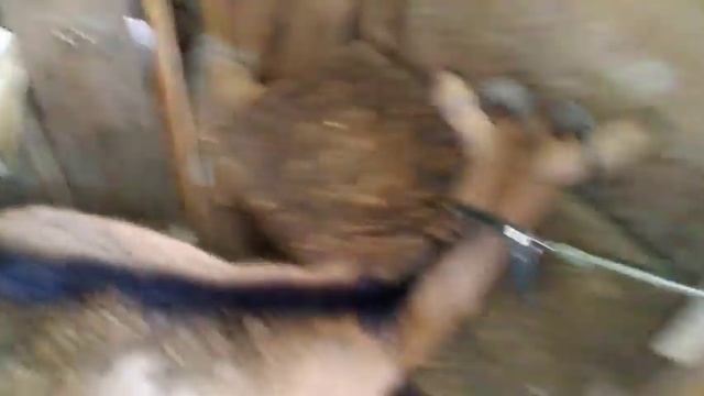 Кому старое сено//Хочу бассейн, но денег лишних нету//Огород смотреть онлайн