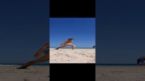 20230914_120222.mp4