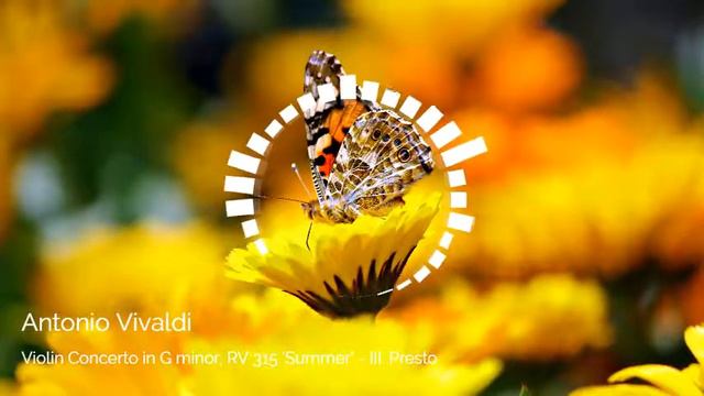 ♫ Antonio Vivaldi - 'Four Seasons' Violin Concerto in G minor, RV 315 'Summer' No 3 Presto ♫ смотреть онлайн