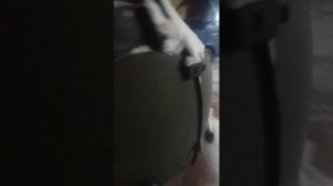 Покупка бортового  УАЗ 3303 .