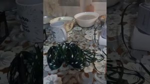 умная смарт гирлянда с Озона.