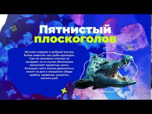 Контент: Морской мир