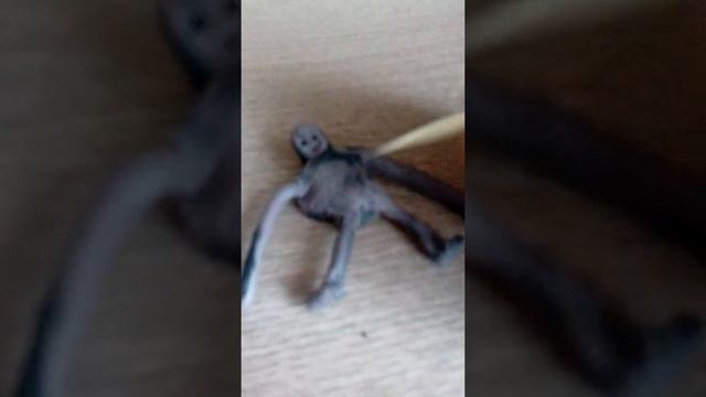 РОБО из пластилина, и улитка в коробке смотреть онлайн