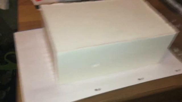 Гипсовый формикарий для мурашей (Messor structor) своими руками смотреть онлайн