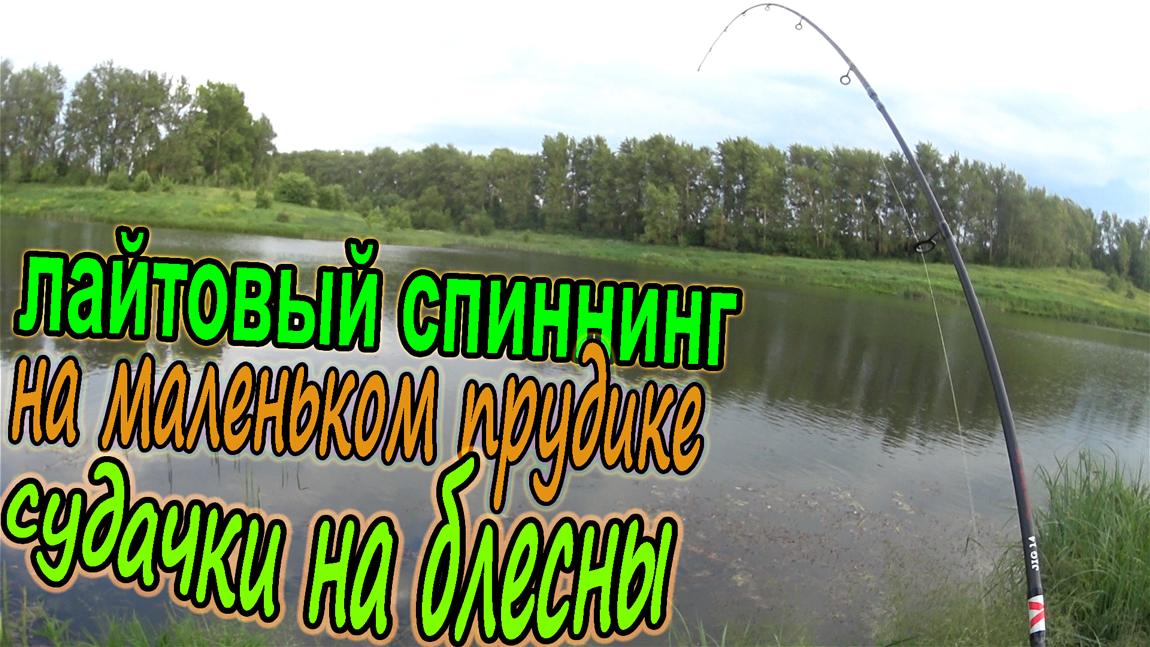 Рыбалка на лайтовый спиннинг на маленьком прудике! Окуни и судачки на блесна!! Красивая рыбалочка!!!