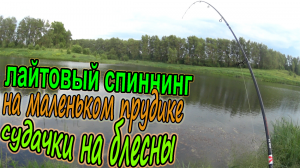 Рыбалка на лайтовый спиннинг на маленьком прудике! Окуни и судачки на блесна!! Красивая рыбалочка!!!
