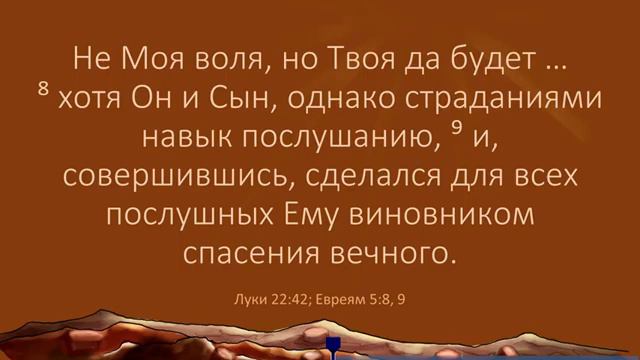 Урок 4 Христос Сын Человеческий Проповедь «Христа, и притом распятого» смотреть онлайн