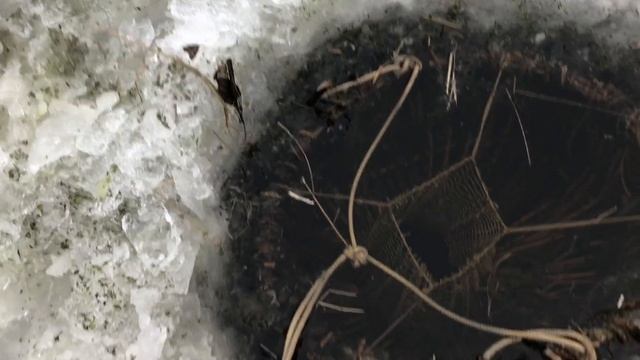 КАК ЛОВИЛИ РЫБУ НАШИ ПРЕДКИ! смотреть онлайн