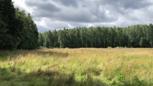 Экотропа "Вятичи"