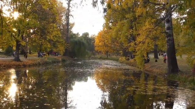 Видео снятое на Видеокамеру Panasonic HC-VX980 смотреть онлайн