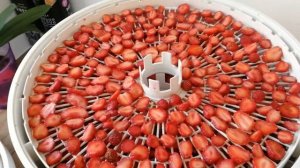 КАК СУШИТЬ КЛУБНИКУ | Сушка Клубники В Электрической Сушилке