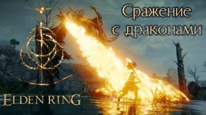 Сражения с драконами в Elden Ring (Греил, крылатый дракон и Смараг, дракон блестящих камней)