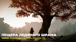 Diablo 4
Некромант Суммонер
Пещера Ледяного Шрама (Уровень 70)