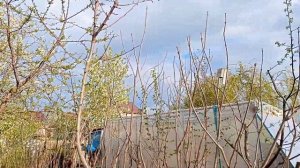 Магнолия Сюзан :-) Обучение и Отзыв " Школа Городских Героев"