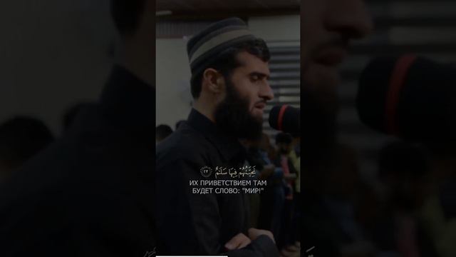 Ибрахим смотреть онлайн