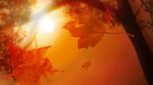 Шатунов падают листья