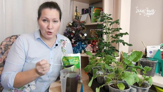 Редис дома вырастить зимой на подоконнике в горшке. Забавы ради! смотреть онлайн