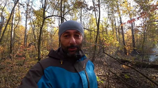 Вешенка обыкновенная и спасение леса от пожара смотреть онлайн