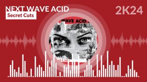 Next Wave Acid Punx DEUX - Secret Cuts