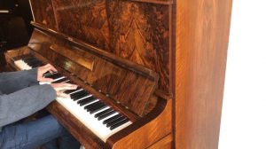 August Förster piano - Emile van Leenen Piano's