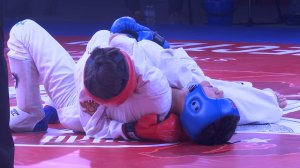 Турнир по единоборствам в честь Дня Героев Отечества