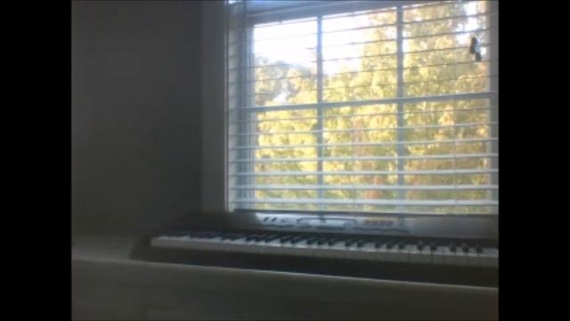 Casio CTK-2000 150 Rhythms | 8 Beat/16 Beat (1-12) смотреть онлайн