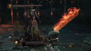 Dark Souls 2 Scholar Of The First Sin за рыцаря часть 108 Северная Королева Элана(без комментариев)