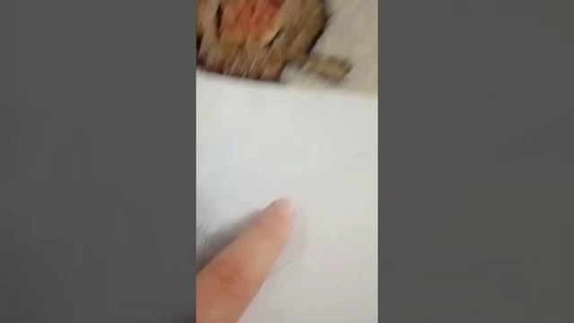 °уроки рисования||тень и свет°
