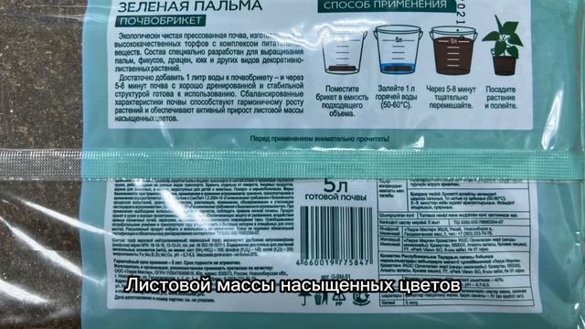 Почвобрикет Зеленая пальма от фирмы Биомастер|Полный обзор почва для пальмы