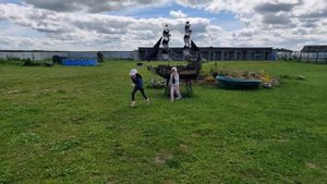 НАШЛИ СТРАУСОВ В ЧУВАШИИ / СТРАУСИНАЯ ФЕРМА БРАВО / ИВАНОВЫ ОНЛАЙН