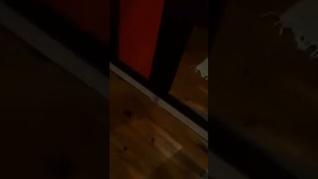 Triton kakadu eyo süpersin sıpaaa смотреть онлайн