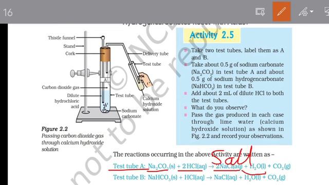 class 10 science chapter 2 Acids , Bases and salts #study #science