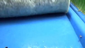 Зелёный Шеф ликбез про микрозелень