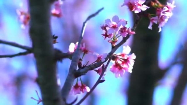 Детские Христианские Песни