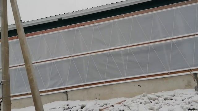 КОРОВНИК ТЕЛЯТНИК монтаж вентилируемых штор ARNTJIN на коровник. Свето-шумовые ШТОР Arntjin смотреть онлайн