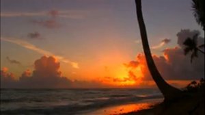 ШУМ МОРЯ, ЗВУК ВОЛН, БЕЛЫЙ ШУМ ДЛЯ ГЛУБОКОГО СНА