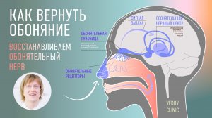 Как снова чувствовать запахи? Пропало обоняние после коронавируса? Восстановление от доктора Ведова