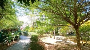 Nai Yang Beach - Nai Yang Beach Resort January 2023