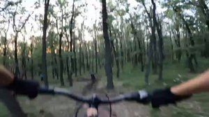 катаем трейл в лесу.